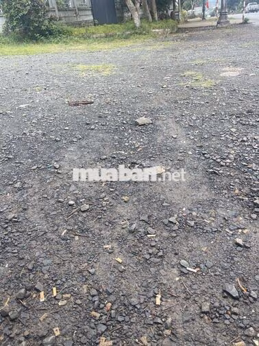 25m mặt tiền đường Nhựa xã Ninh Gia