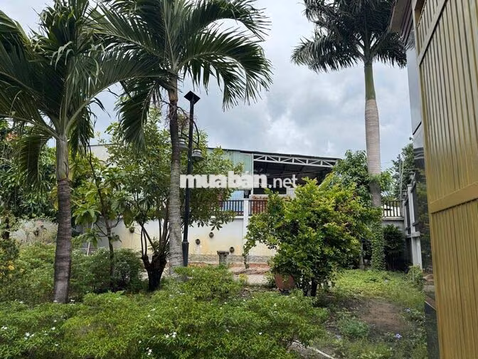 Bán Nhà Vườn 1000m2 View Sông Biên Hoà TP Đồng Nai