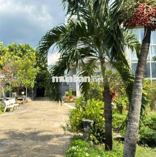 Bán Nhà Vườn 1000m2 View Sông Biên Hoà TP Đồng Nai