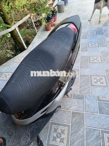 yamaha mio umtimo 2 mảnh.