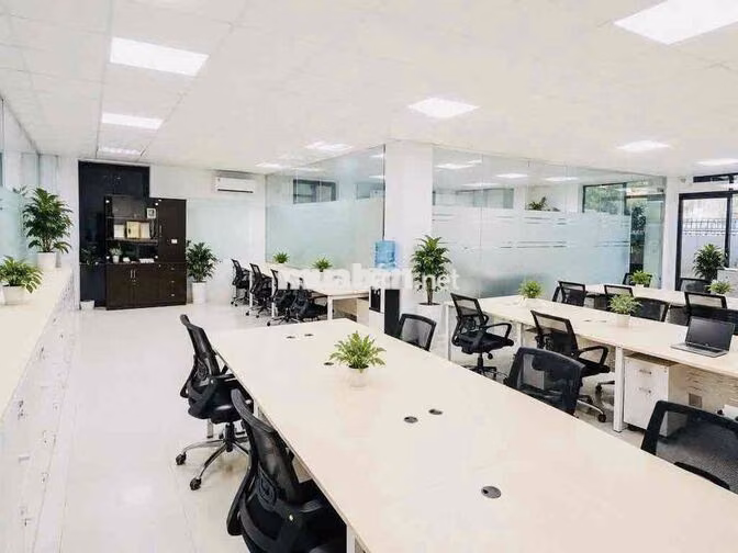 🏢 CHO THUÊ MẶT BẰNG KINH DOANH PHỔ QUANG – PHÚ NHUẬN | VỊ TRÍ ĐẸP 700M