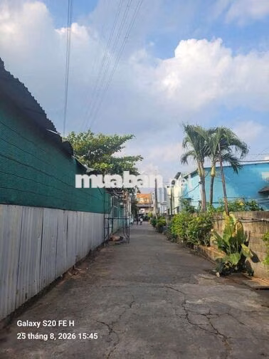 cần cho thuê kho xưởng đương PVH .Bà Điểm.DT 31 x31 sử dựng.1000m.