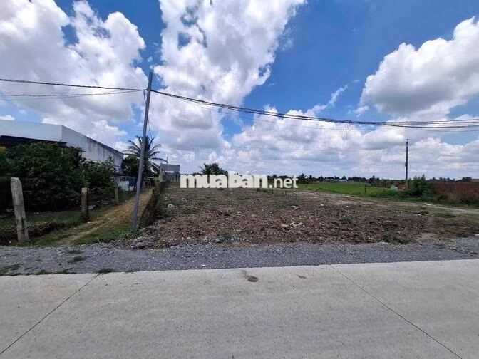 Chính chủ bán đất Nhựt Chánh Bến Lức full thổ 15x 29m giá chỉ hơn 3 ty