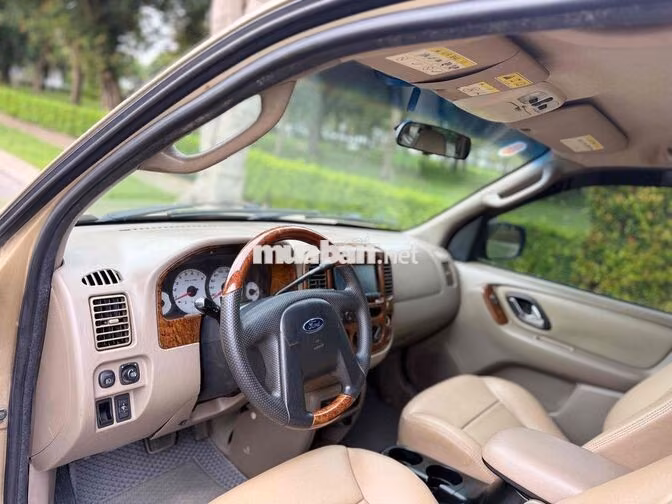 Ford Escape 2003 Vàng cát