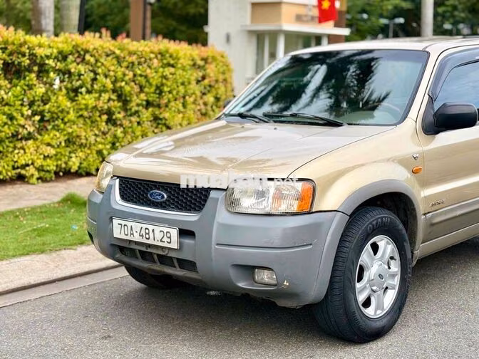 Ford Escape 2003 Vàng cát