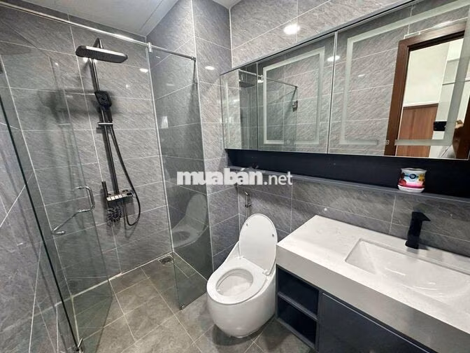 cho thuê Penthouse chung cư C Sky View Thủ Dầu Một, 2 phòng ngủ