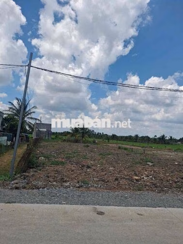 Chính chủ bán đất Nhựt Chánh Bến Lức full thổ 15x 29m giá chỉ hơn 3 ty