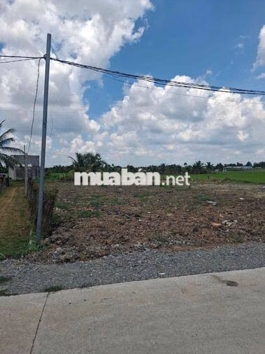 Chính chủ bán đất Nhựt Chánh Bến Lức full thổ 15x 29m giá chỉ hơn 3 ty