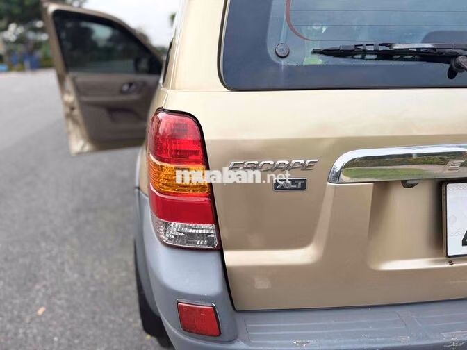 Ford Escape 2003 Vàng cát