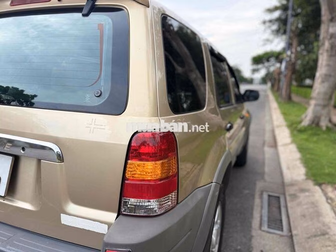 Ford Escape 2003 Vàng cát