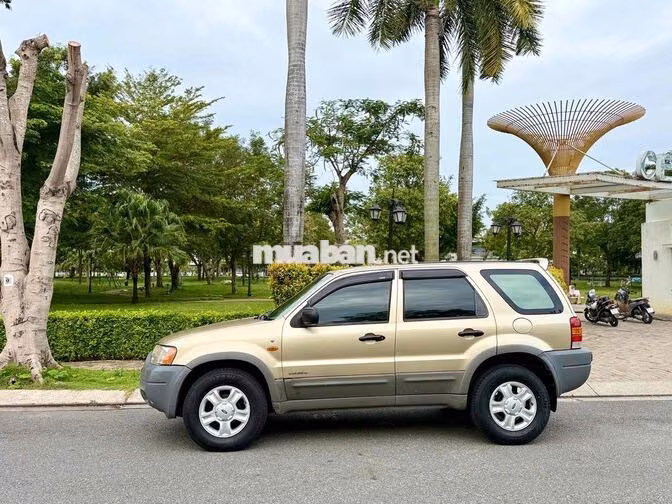 Ford Escape 2003 Vàng cát