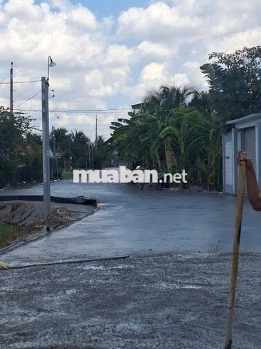 Chính chủ bán đất Nhựt Chánh Bến Lức full thổ 15x 29m giá chỉ hơn 3 ty