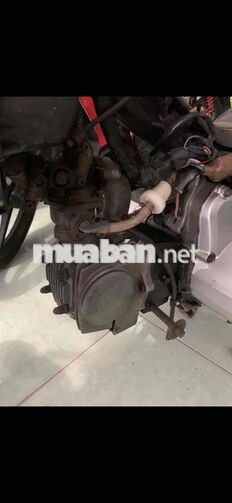 Siva Hado 2001 Đỏ mận Hàn Quốc