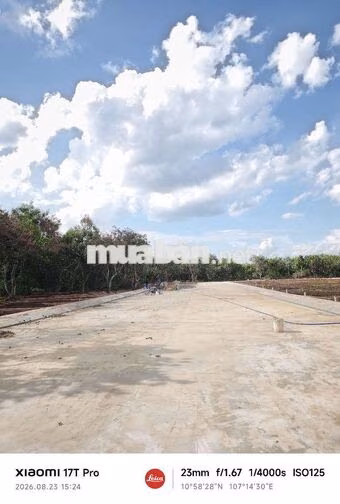 Đất Nền Bình Lộc 135m2 Sau Lưng Chợ Bình Lộc