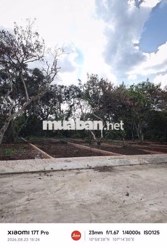 Đất nền Đẹp Bình Lộc Mặt Tiền Bê tông 16m ,Cách Trục Lê A 500m