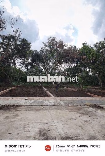 Đất Nền Bình Lộc 135m2 Sau Lưng Chợ Bình Lộc