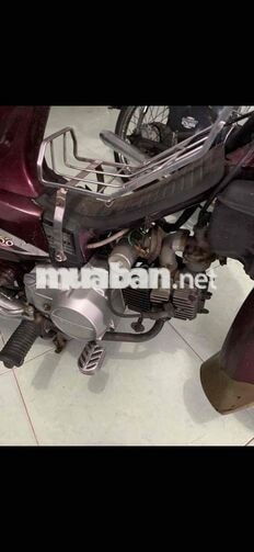 Siva Hado 2001 Đỏ mận Hàn Quốc