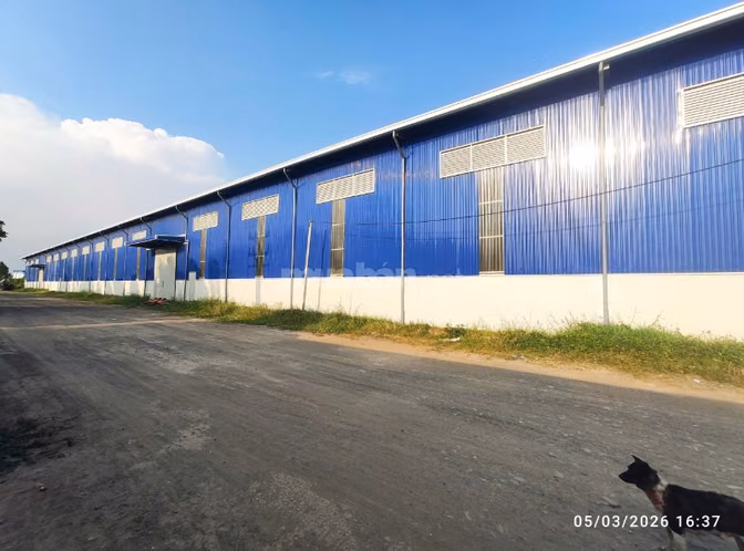 Cho thuê xưởng 4.000m² đường Nguyễn Hữu Trí, Bến Lức giá chỉ 266 triệu