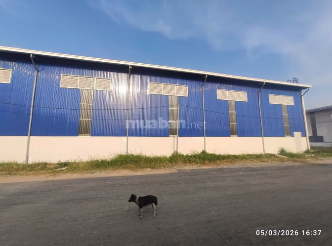 Cho thuê xưởng 4.000m² đường Nguyễn Hữu Trí, Bến Lức giá chỉ 266 triệu