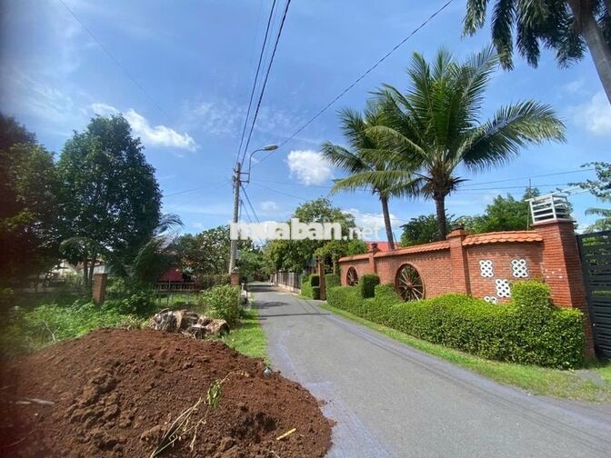 Gia đình bán gấp lô đất >200m2 thổ cư Trung Lập Thượng-Củ Chi-Tp.HCM