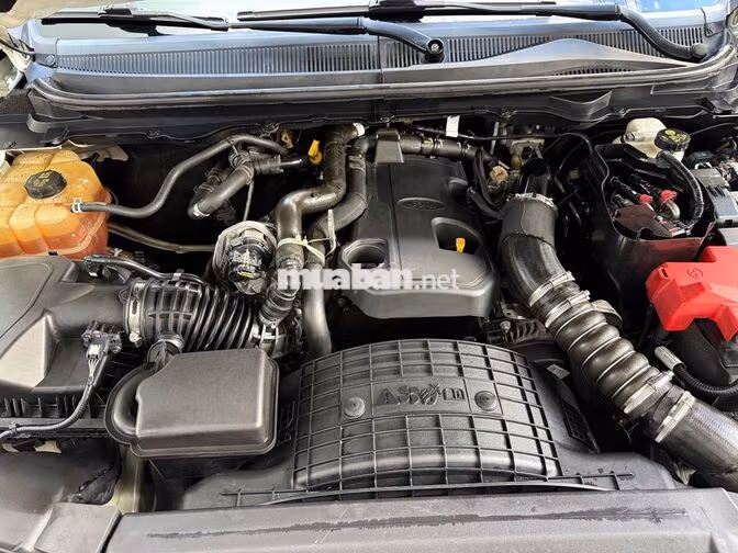 Ford Everest Titanium 2019 Trắng 7 chỗ Tự động Dầu