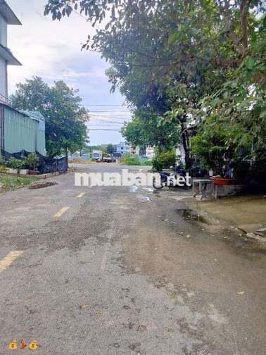 Bán Đất Thổ Cư Bà Điểm Hóc Môn Giá Rẻ