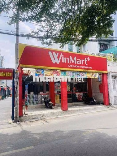 CHO THUÊ NHÀ GÓC 2 MẶT TIỀN ĐƯỜNG SỐ  P16 GÒ VẤP NGAY LÊ VĂN THỌ TN VÔ