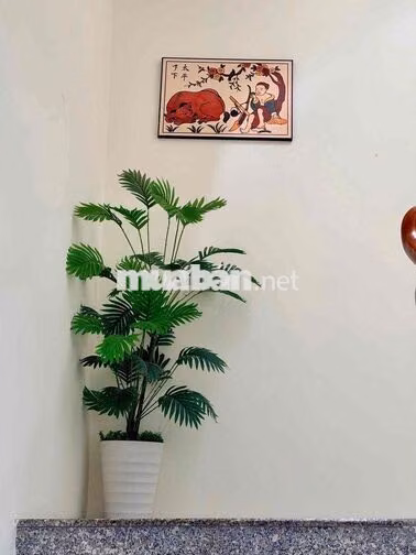 277 ✨ 🏡 CHO THUÊ NHÀ NGUYÊN CĂN CAO CẤP TRẦN THANH MẠI