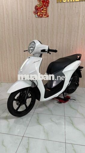 Yamaha Janus Trắng Xe tay ga