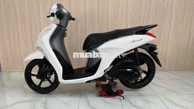 Yamaha Janus Trắng Xe tay ga
