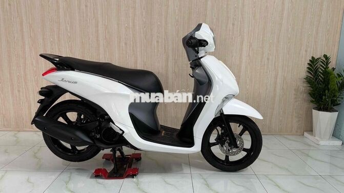 Yamaha Janus Trắng Xe tay ga