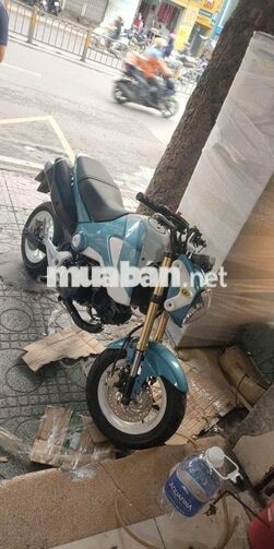 Honda MSX Xanh trắng