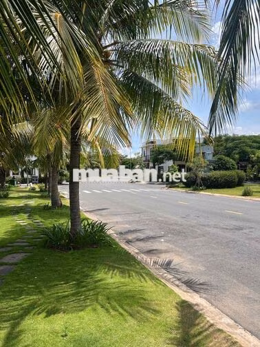 CC bán nền đất khu biệt thự Trần Anh Riverside