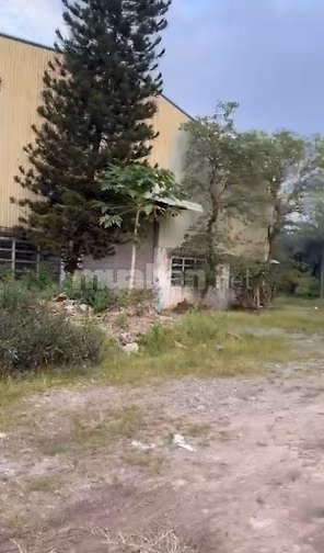 BÁN 10.000M2 KHO XƯỞNG MT TRẦN ĐẠI NGHĨA, HUYỆN BÌNH CHÁNH.