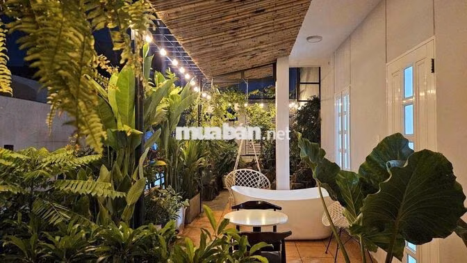 🏠 KHAI TRƯƠNG CĂN HỘ DỊCH VỤ CAO CẤP QUẬN 3 (NGAY CHỢ NGUYỄN VĂN TRỖI)