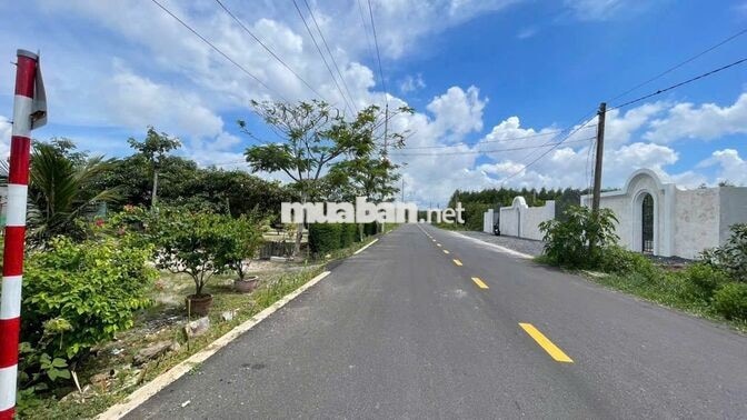 BÁN ĐẤT VƯỜN SẲN TƯỜNG RÀO GẦN 500M2  CHỈ 1Ty580 NGAY QUỐC LỘ 55