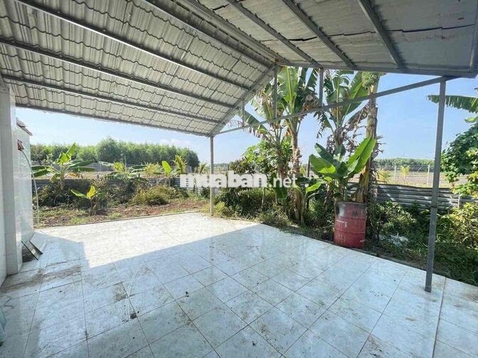 Đất Xã Láng Dài - Đất Đỏ - Bà Rịa Vũng Tàu