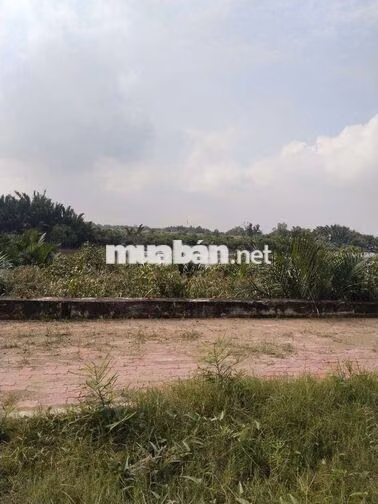 Gần một cây số với Đại học Sài Gòn Đại học mở