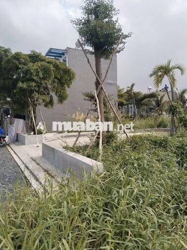 Gần một cây số với Đại học Sài Gòn Đại học mở