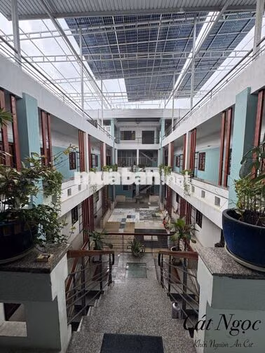 Căn hộ cho thuê Cát Ngọc - từ 20m2 - 1N1T - Có khu vực sạc xe điện