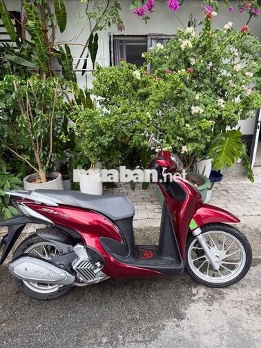 Chính chủ SH Mode CBS 125 2023 Đỏ 14500 km