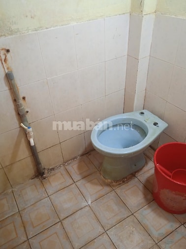 Tìm người ở ghép chung cho vui.