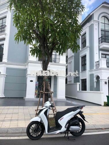 Honda SH Trắng