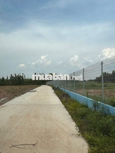 Giảm sâu hơn 200tr còn 1tỷ263 sở hữu được ngay lô 2.8 sào tại La Ngà