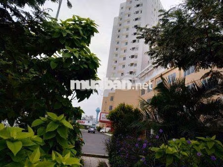 cho thuê căn hộ chung cư HQC Hóc Môn