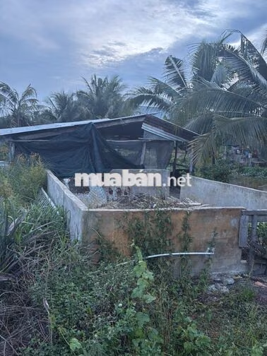 🔥 95 TRIỆU/M NGANG – ĐẤT 20M MẶT TIỀN, ĐƯỜNG Ô TÔ, GẦN KCN LONG GIANG