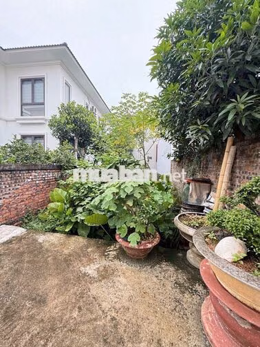 Thật không thể tin nổi giá Zẻ ngỡ ngàng 33,9 triệu/m