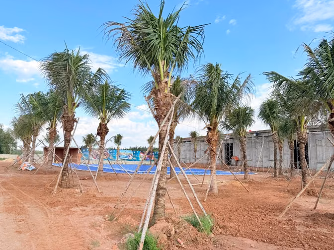 Sở hữu suất nội bộ ngay trung tâm mới tại TP.HCM - chỉ 1 tỷ 180 