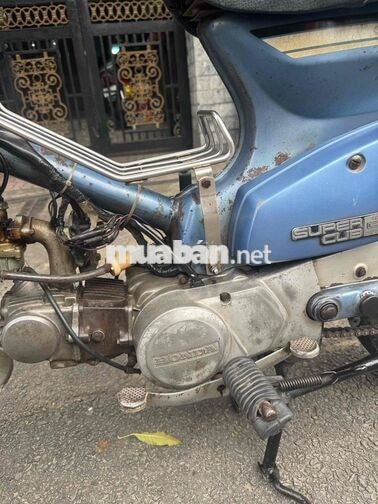 Honda Cub 82 50cc sơn zin nhiều bstp