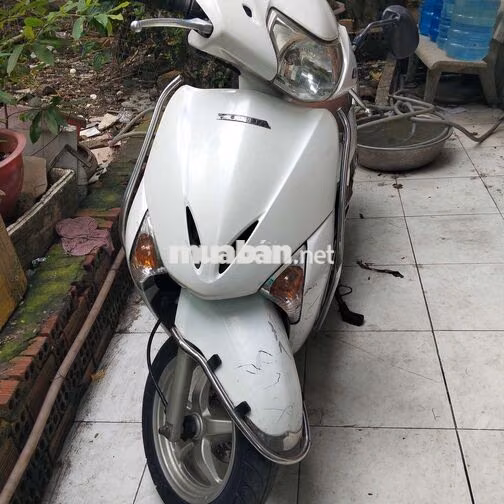 Honda Lead Nữ Trắng